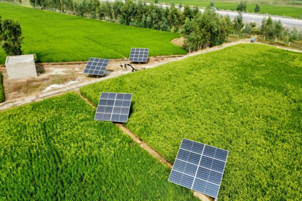 Panel Surya Solusi Energi Terbarukan Masa Depan