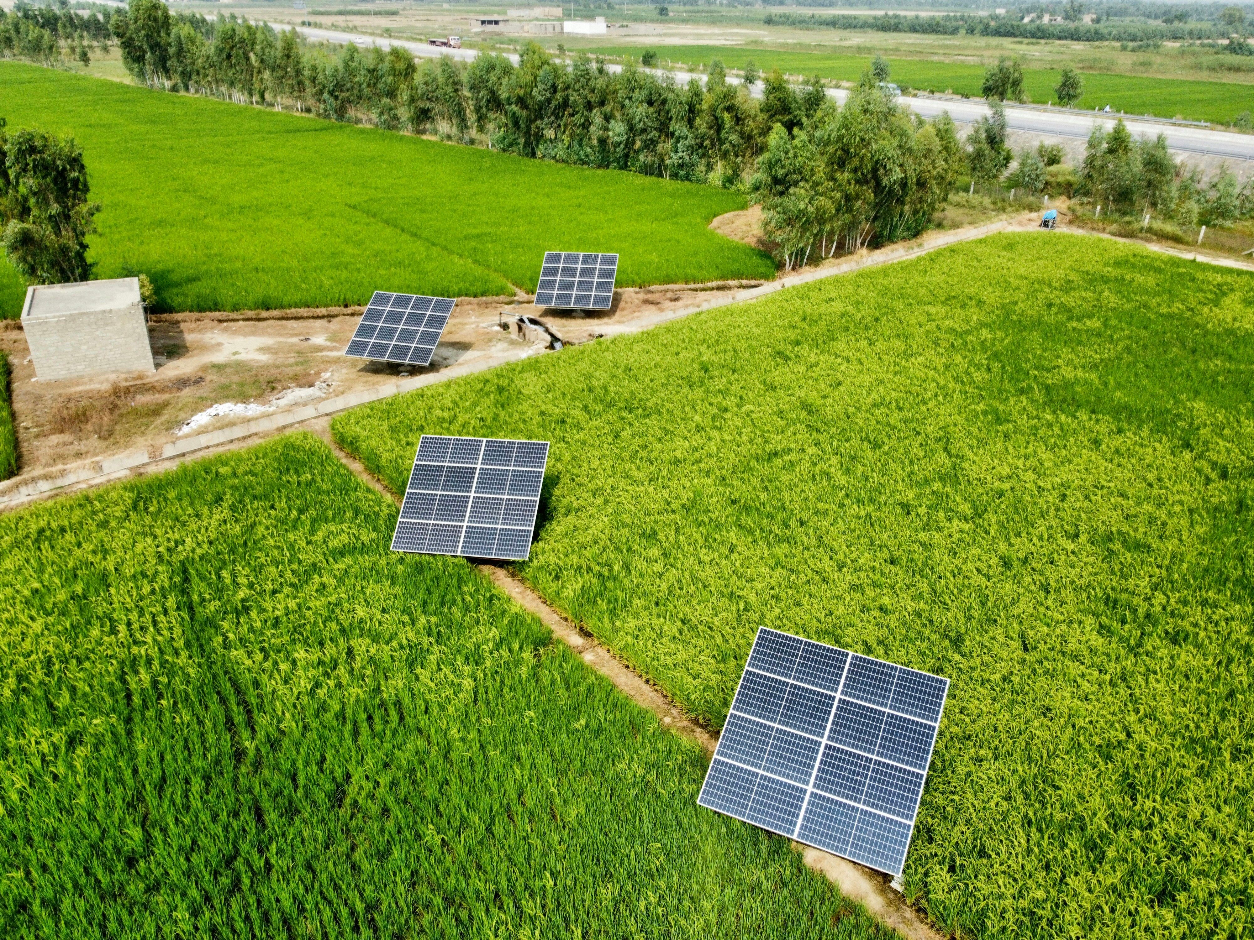 energi hijau energi hijau